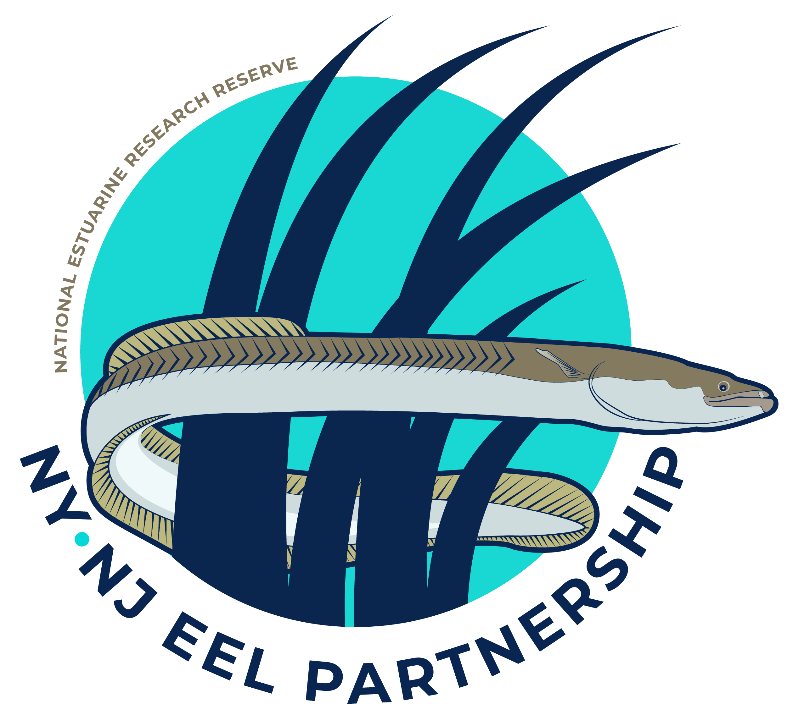 ny-nj eel partnership logo