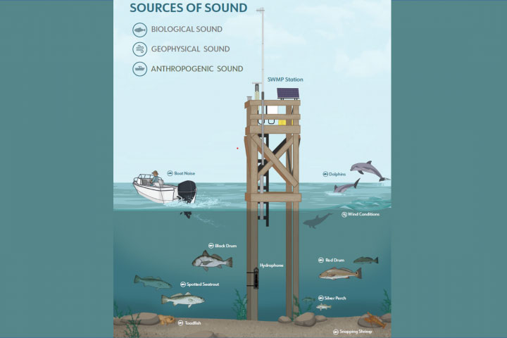 Sources of sound