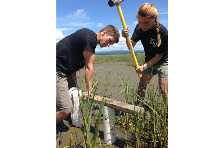 Students collect a sediment core to measure carbon sequestration rates. Photo credit: Katrina Poppe