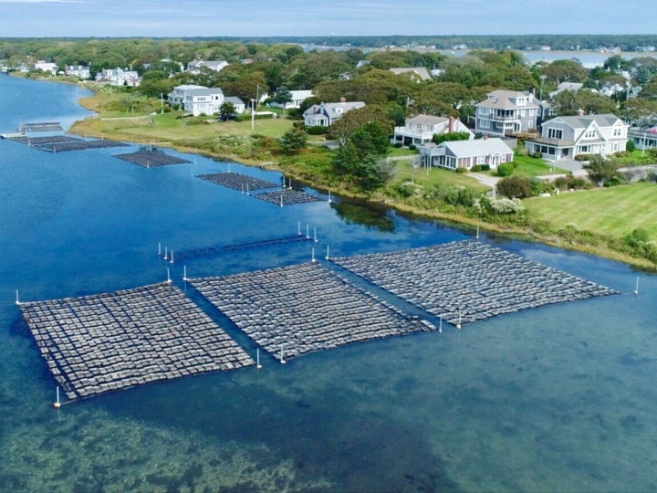 Evaluating Whether Oyster Aquaculture Can Help Restore Water Quality National Estuarine