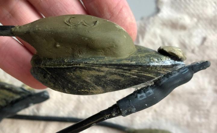 A Mytilus galloprovincialis mussel with attached heart rate sensor (left) and valve gape sensor (upper right). A magnet is glued to the shell opposite the valve gape sensor. Photo credit: Gabriella Kalbach