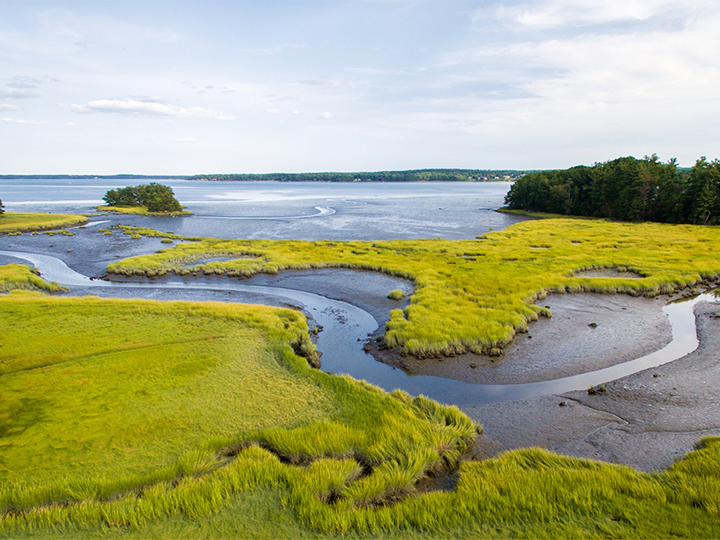 Transferring Conservation Science in New Hampshire’s Coastal Watershed National Estuarine