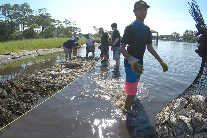 As they work to protect coastal habitat, coastal managers consider both ecology and ecosystem services, or the benefits that people receive from nature.