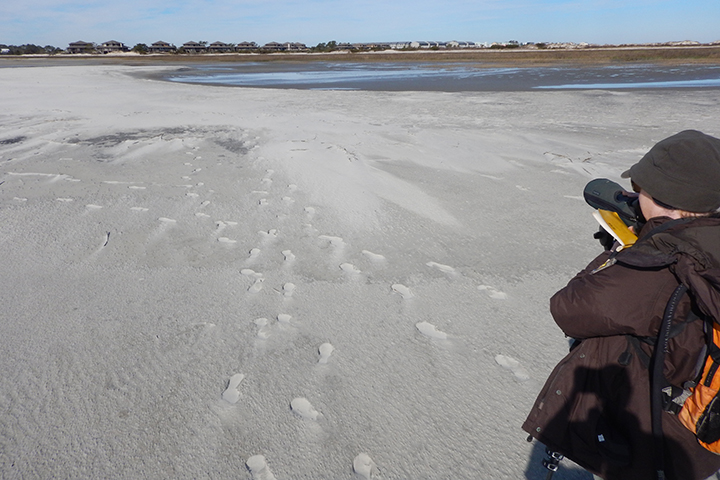 Melissa Chaplin, USFWS biologist, conducting a piping plover survey along Harbor Island South Carolina
