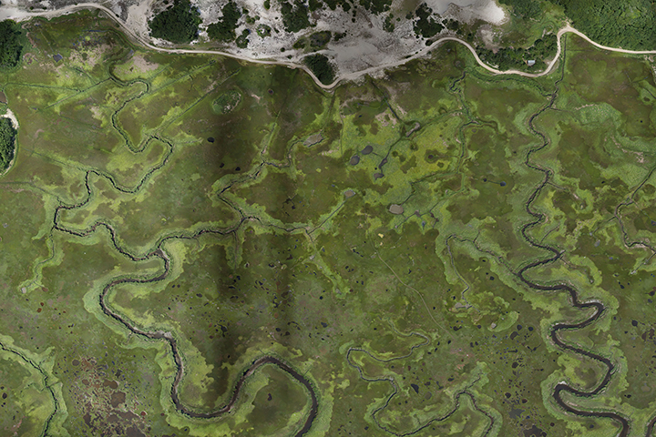 Overhead view of an unditched portion of the Great Barnstable Marsh (MA)