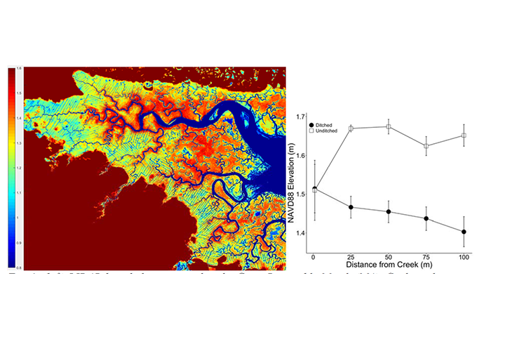 LIDAR-based elevation data (left) and field-verified elevation measurements (right) within the Great Barnstable Marsh (MA). Cooler colors on the LIDAR map represent lower elevations and coincide with ditched areas while warmer colors represent higher elevations that coincide with unditched areas.