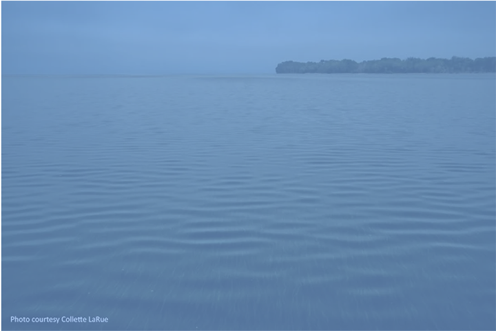 Green Bay Estuary (credit: Collette LaRue)