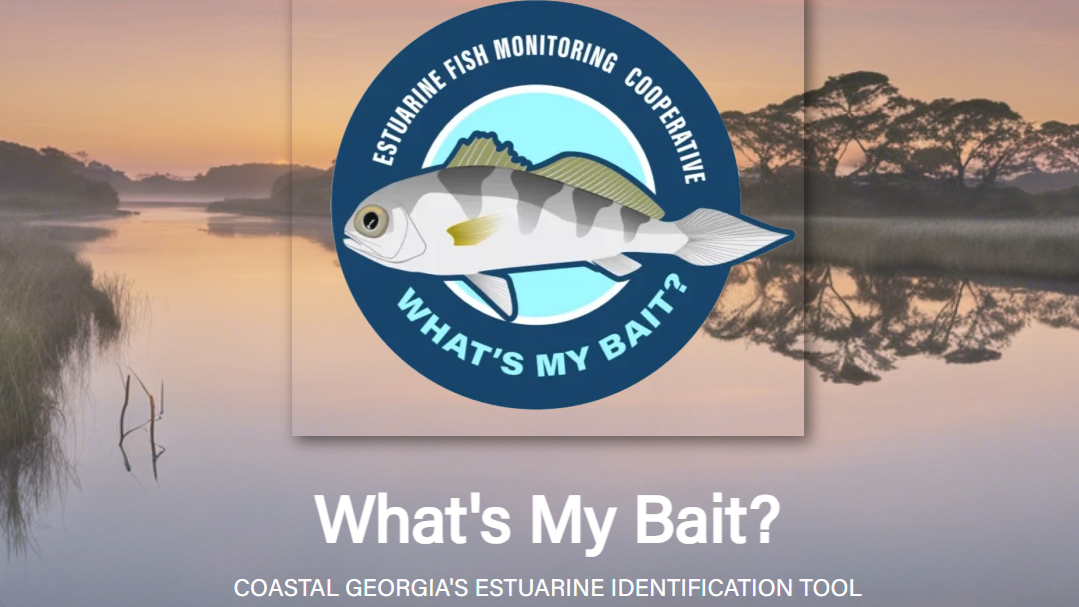 fish logo