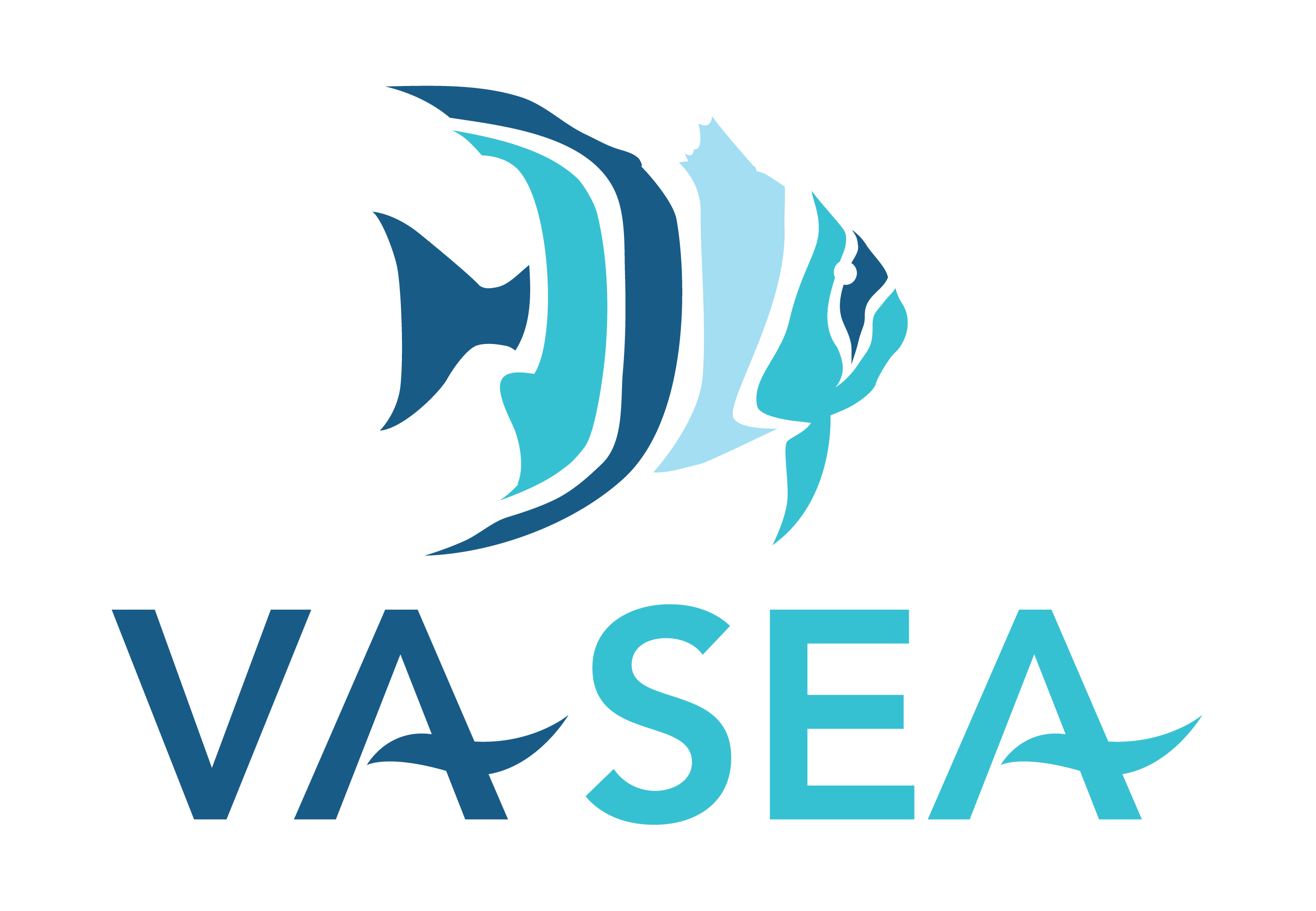 VA SEA logo
