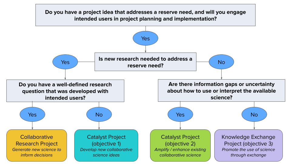 2025 funding opp decision tree