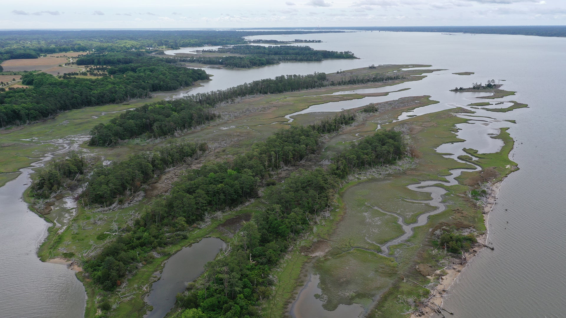 Catlett Islands, Virginia