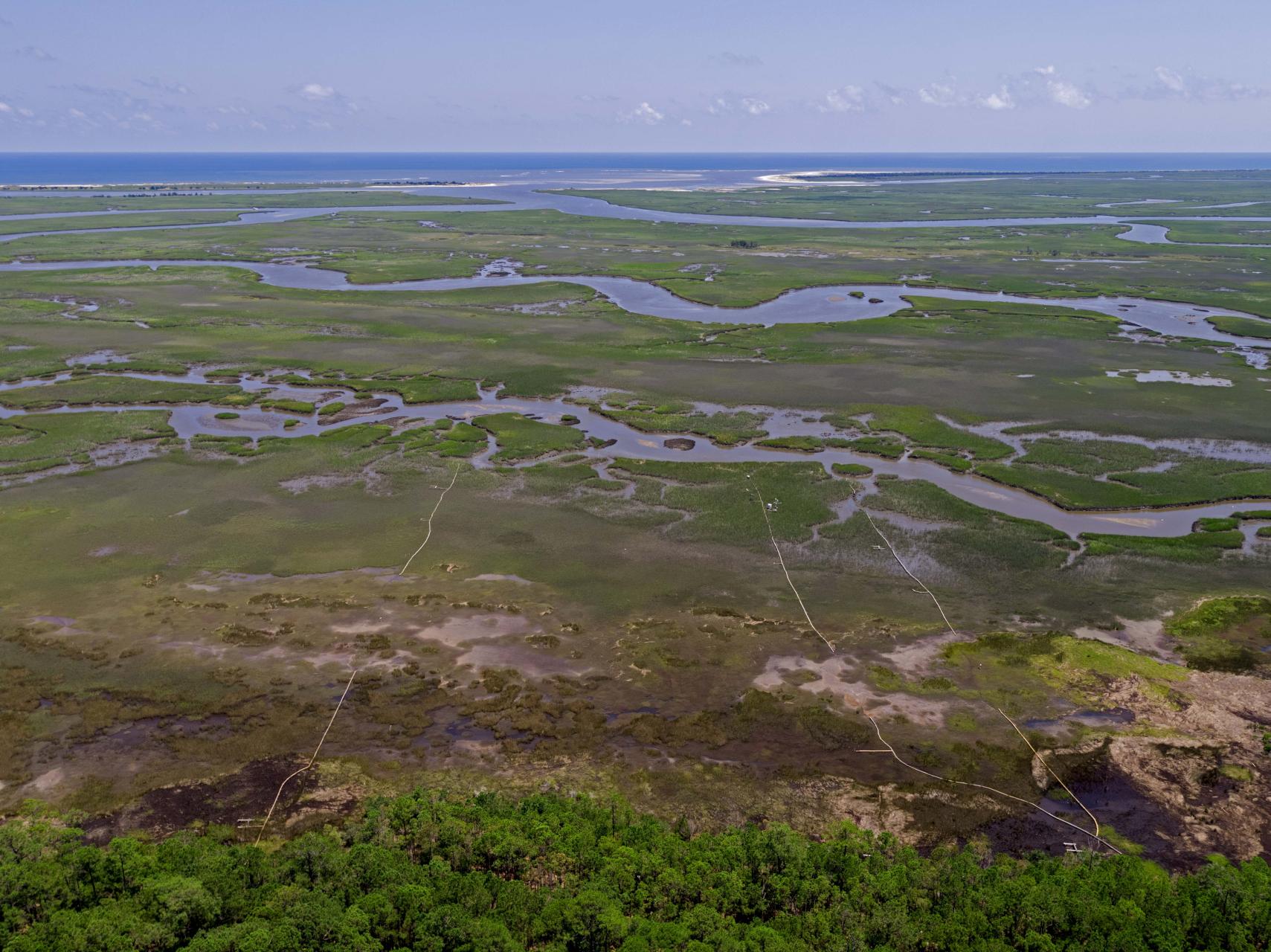 drone image of salt marsh