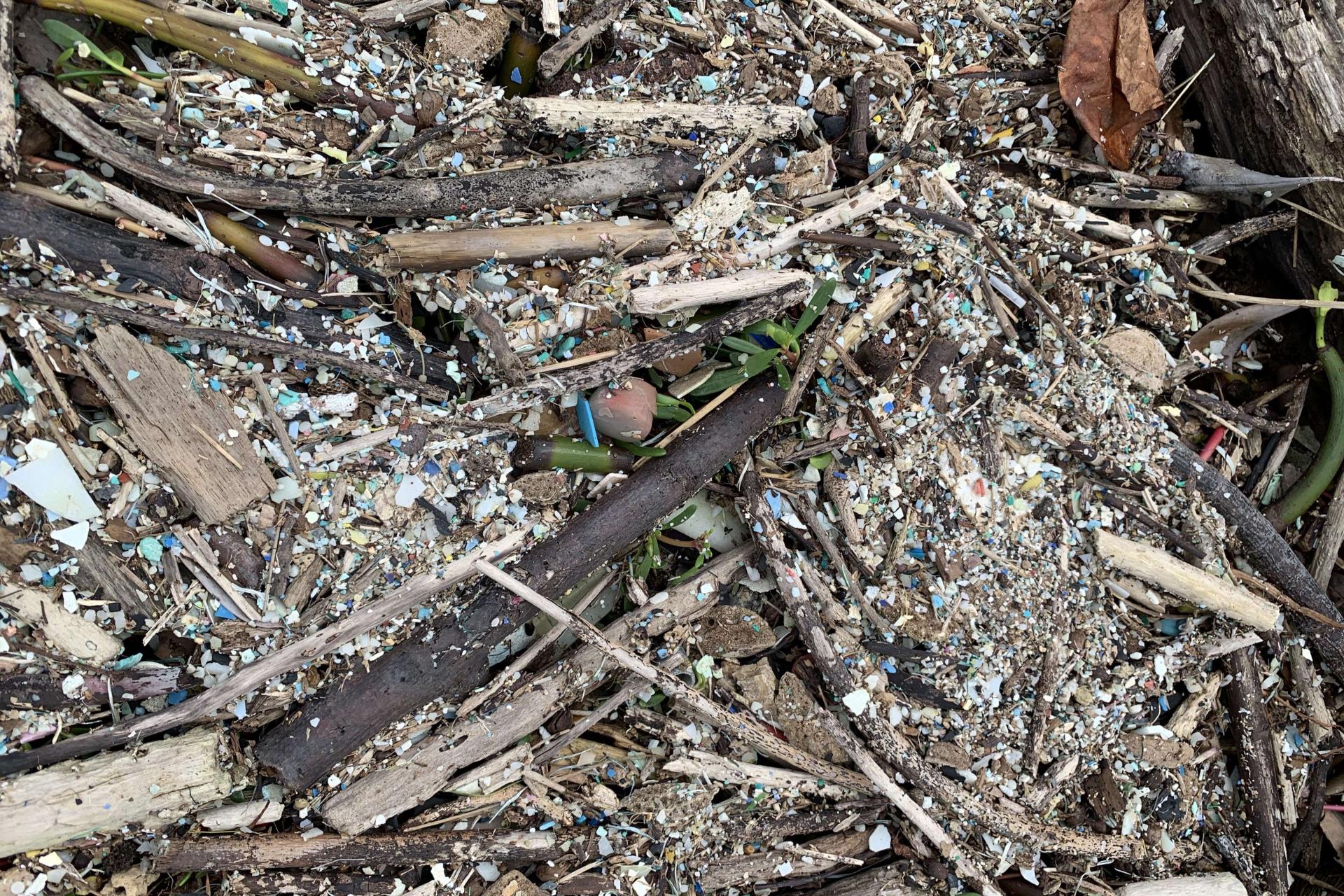 Trash on a forest floor.