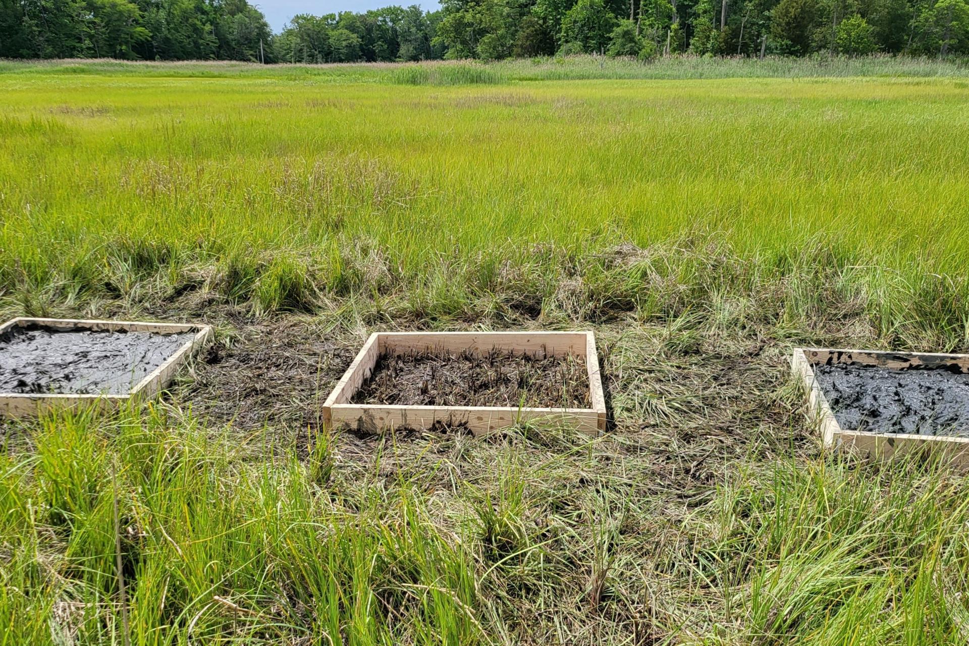 Three plots of soil in separated from the surrounding field by wooden borders