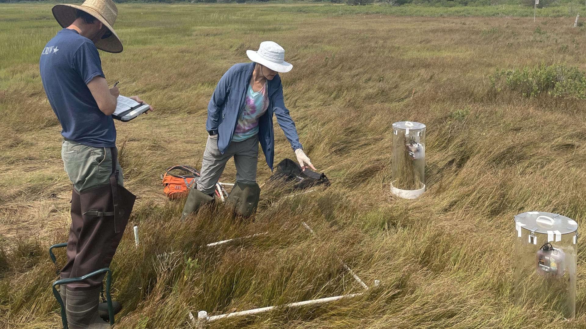 Two people standing in a field alongside cylinder sensors