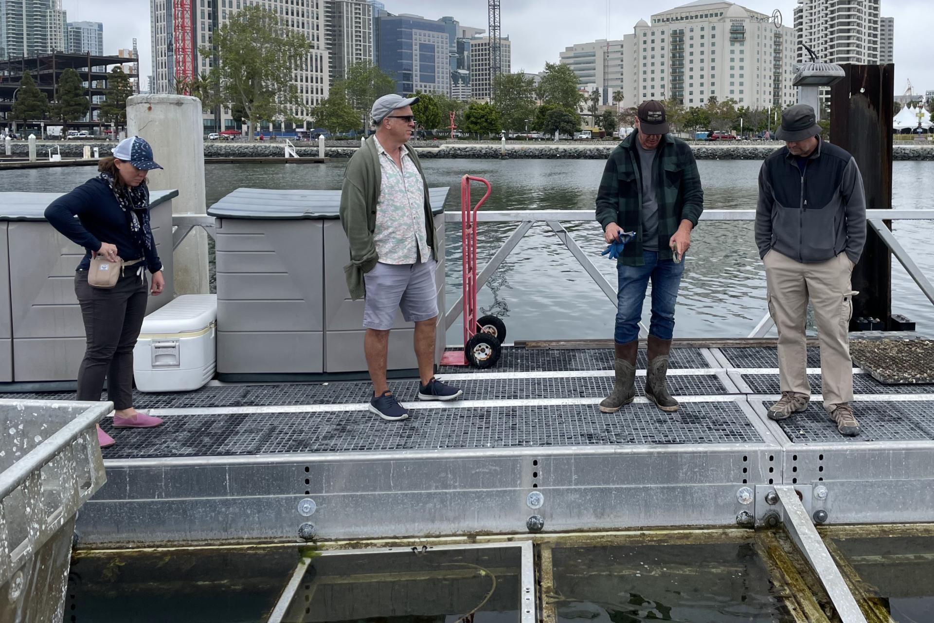 Four people standing on a platform above the bay.