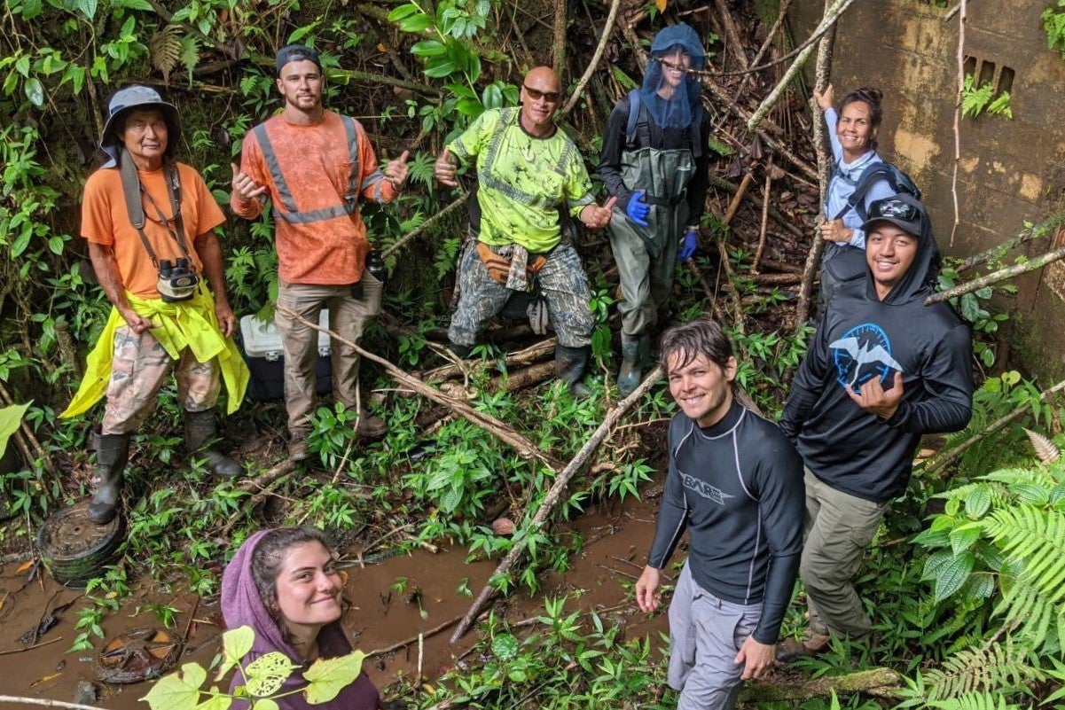 The group is standing in a ditch. Some are on top of tree roots.