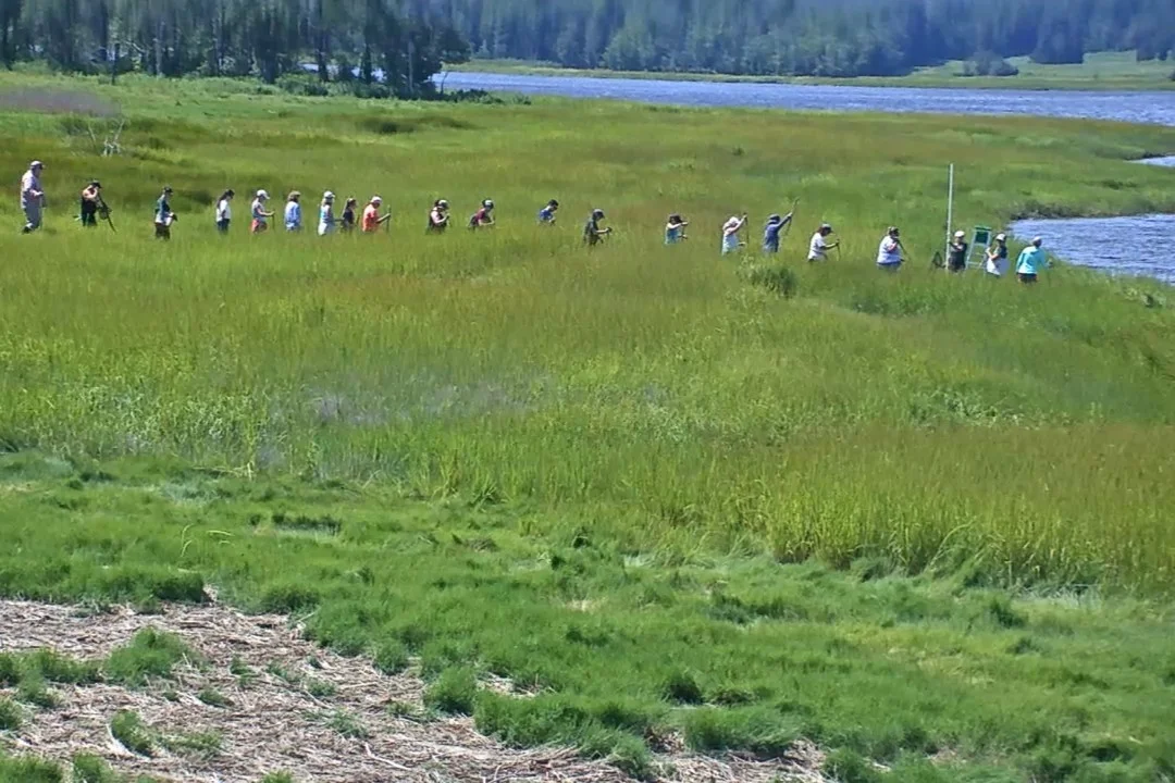 People at a distance walking in a line through grass towards the water.