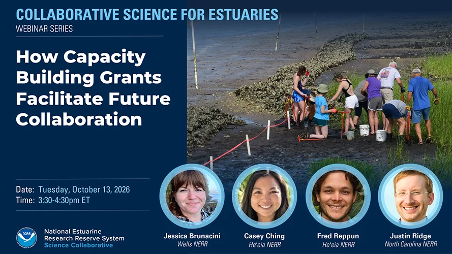 capacity building webinar cover slide