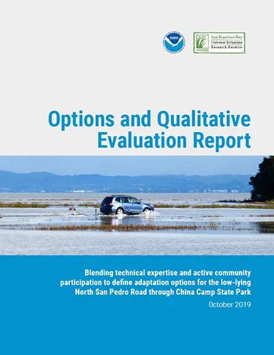 Options and Qualitative Evaluation Report