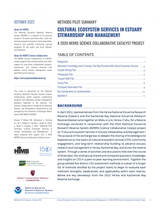 Publication Cover