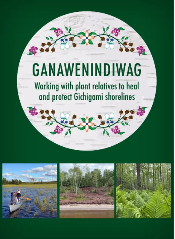Ganawenindiwag cover