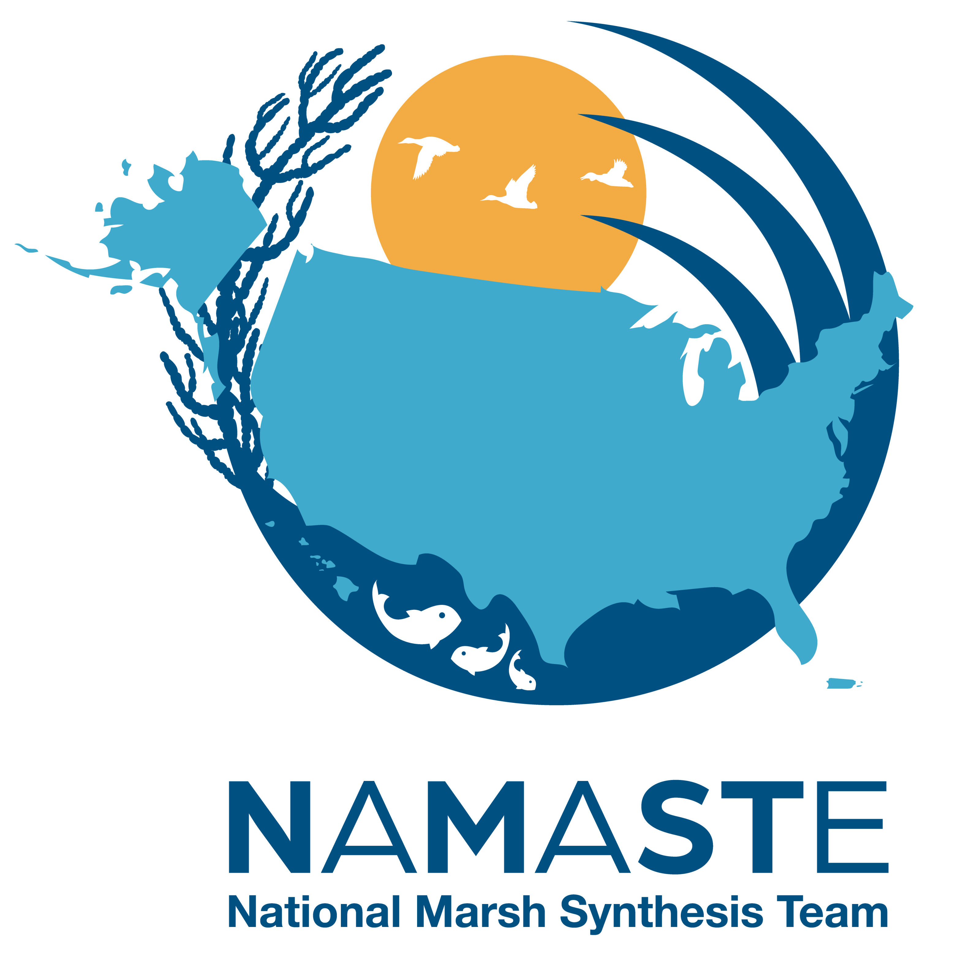NAMASTE logo