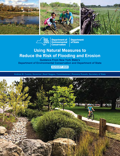 Report Cover Image