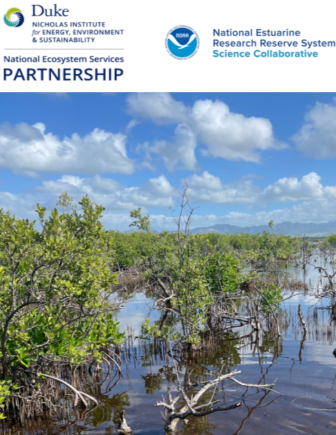 Cover letter showing a banner with logos above a photo of a mangrove