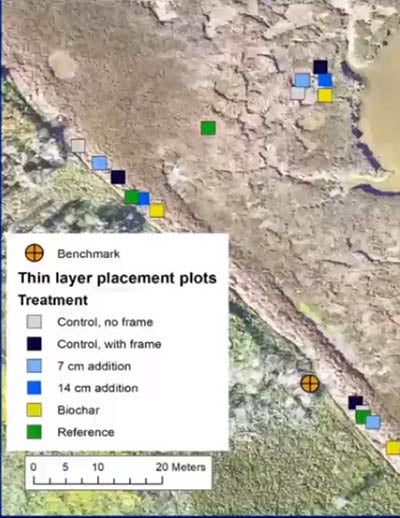 TLP placement plots treatment