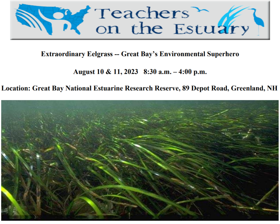 Cover of TOTE agenda showing eelgrass at the bottom and the logo teachers on the estuary