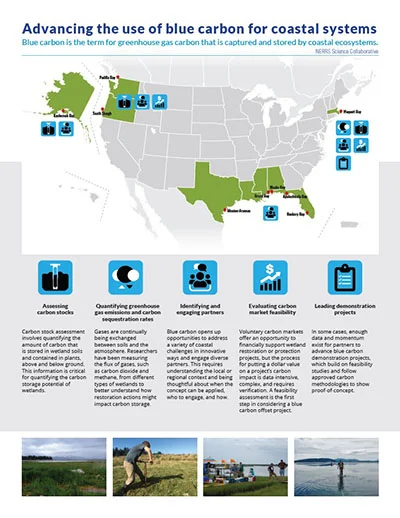 Blue Carbon management brief publication cover