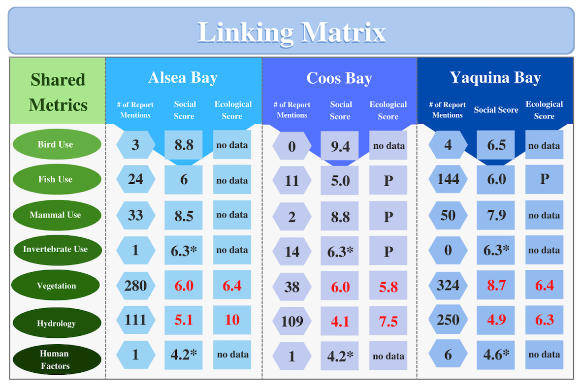 linking matrix photo