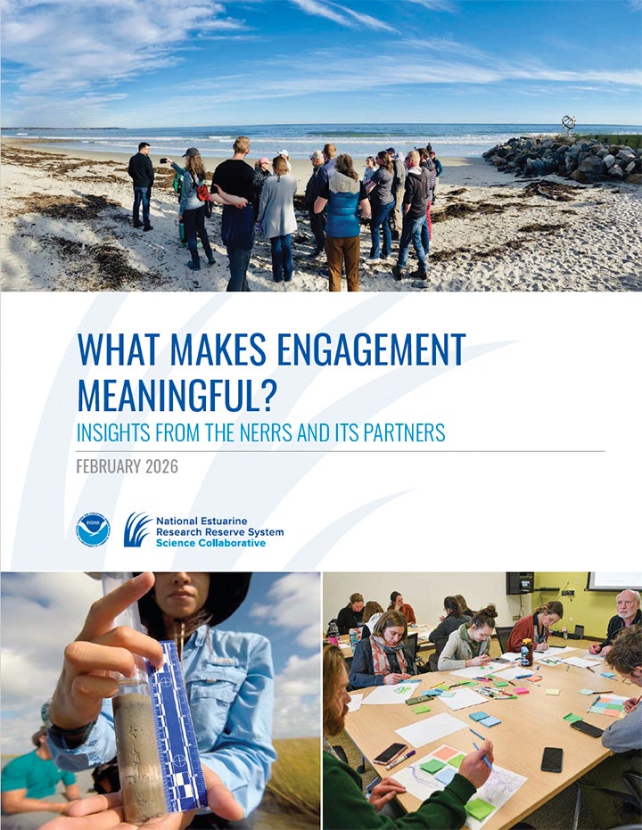 meaningful engagement report cover