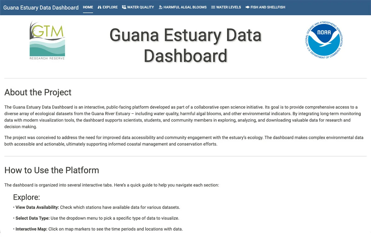 Website