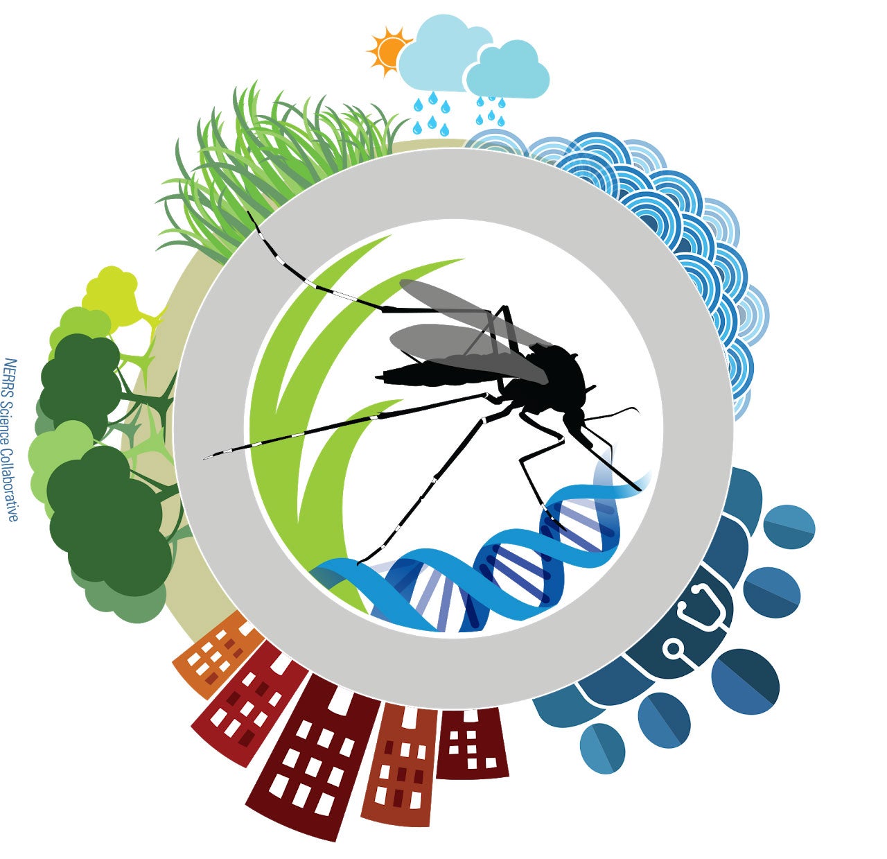 Mosquito Icon