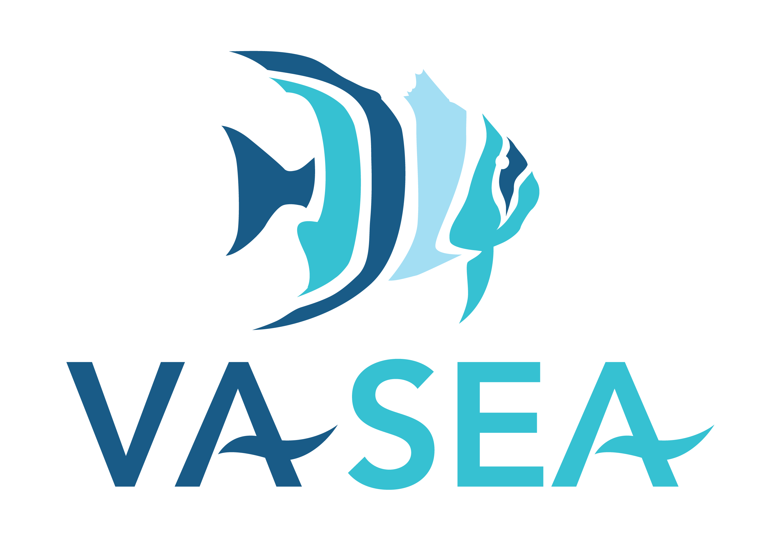 VA SEA