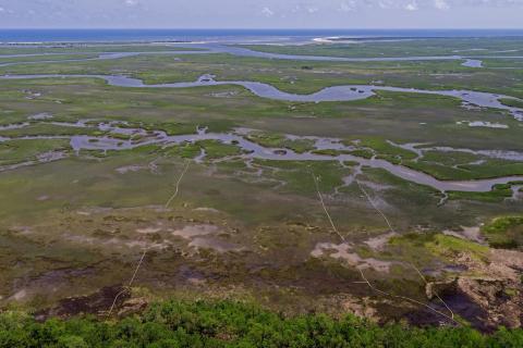drone image of salt marsh