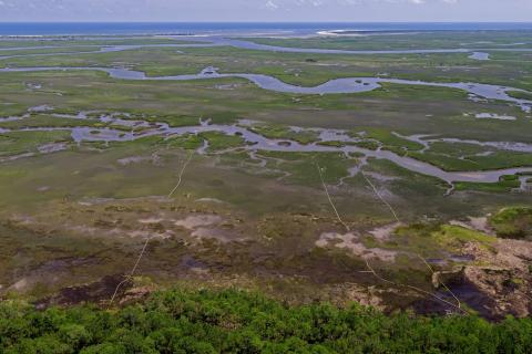 Drone image of salt marsh