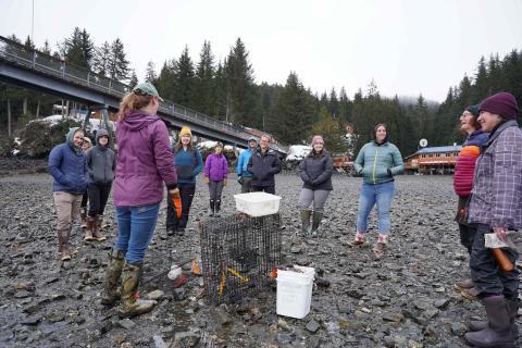 Crab traps and group of people on Kasitsna beach