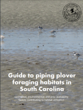 Cover entitled Guide to piping plover foraging habitats in South Carolina: Geological, environmental, and prey availability factors contributing to habitat utilization